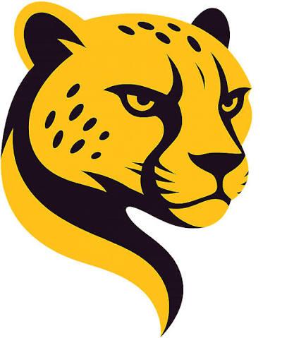 Cheetah Tool Pro - 6 Months Activation