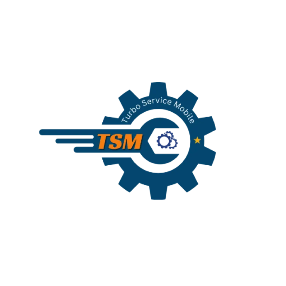 TSM Tool Rent [ 12 hours ]